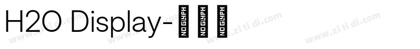 H2O Display字体转换